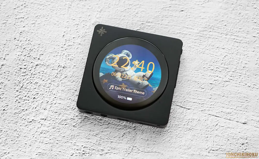 FiiO Snowsky Disc　ビルドクオリティ