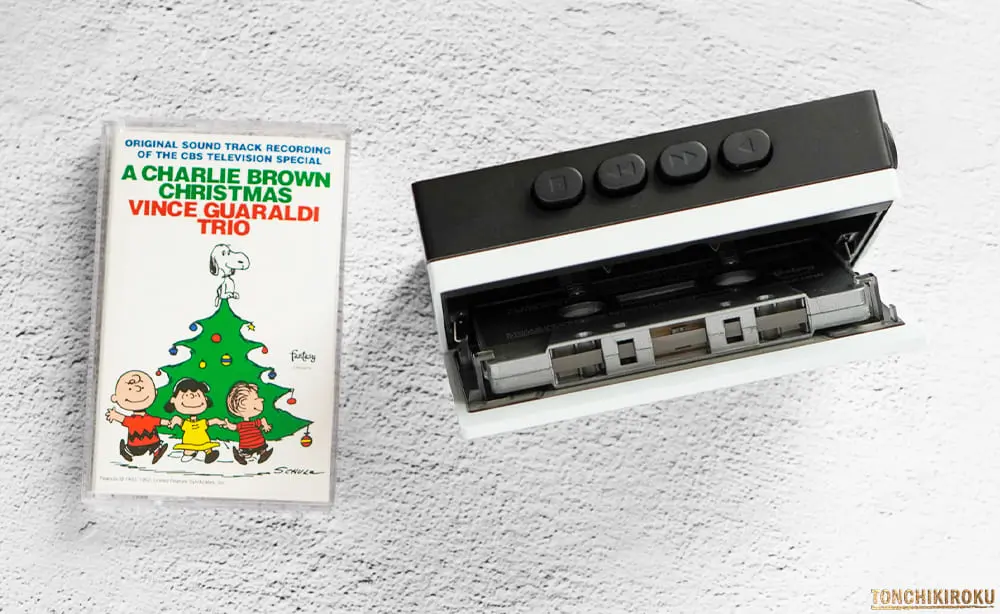 FiiO CP13　インターフェース