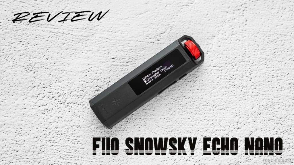FiiO Snowsky ECHO NANO レビュー