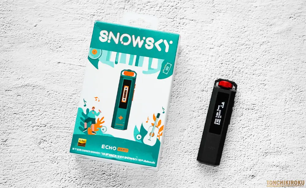 FiiO Snowsky ECHO NANO 価格・販売ストア