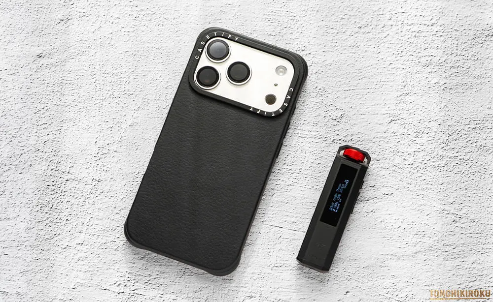 FiiO Snowsky ECHO NANO サイズ感